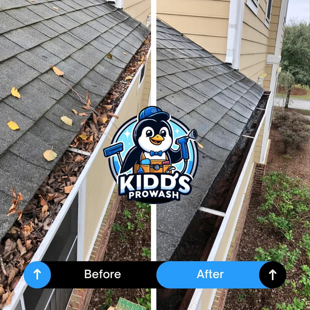 Gutter cleaning in Braselton, GA with clear gutters and downspouts free from leaves and debris.